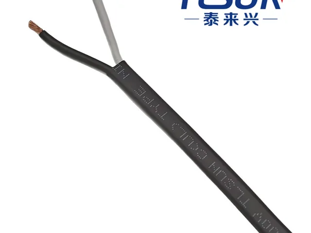 NISPT  UL电源线