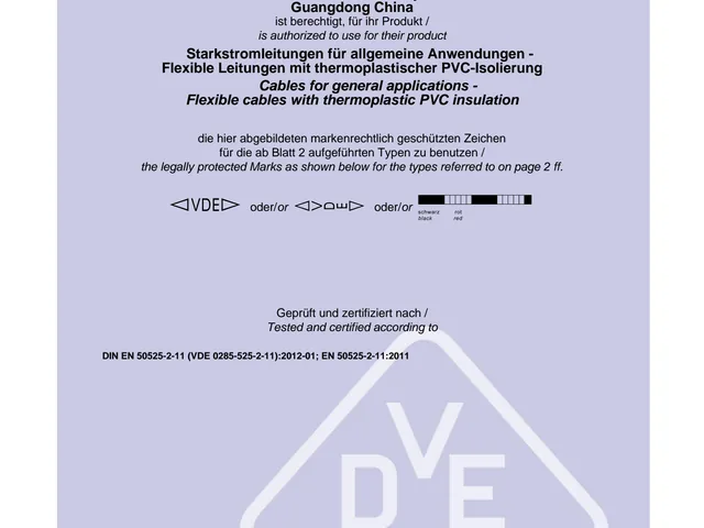 VDE 电线资质证书